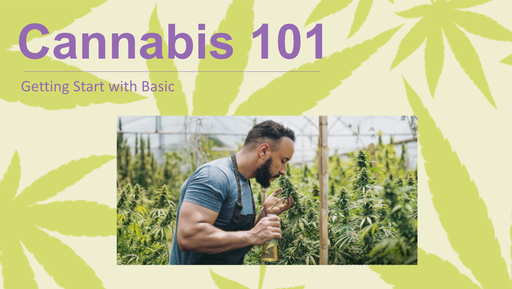 Cannabis 101